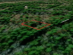 ar-ajo-2-Aerial View South