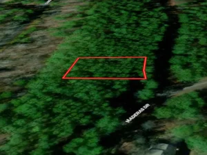 ar-av-11-Aerial View East