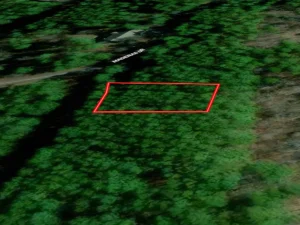ar-av-11-Aerial View West
