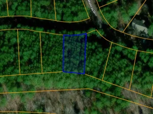 ar-av-11-GIS 1